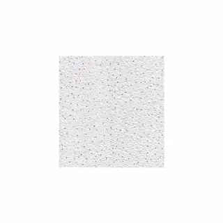 بلاط أسقف ألياف معدنية Olympia 11 Micro (OLPSR665N)، 600x600x15mm، حافة مشقوقة - USG Boral