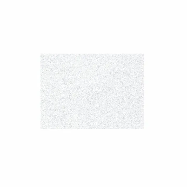 بلاط أسقف جبس فينيل 600x600x12.5mm، أبيض سادة، حافة مربعة - USG Boral