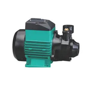 مضخة مياه TEP-03S، 1/2 HP، 0.37kW، فاز واحد، 50Hz، 230V، 1"x1"